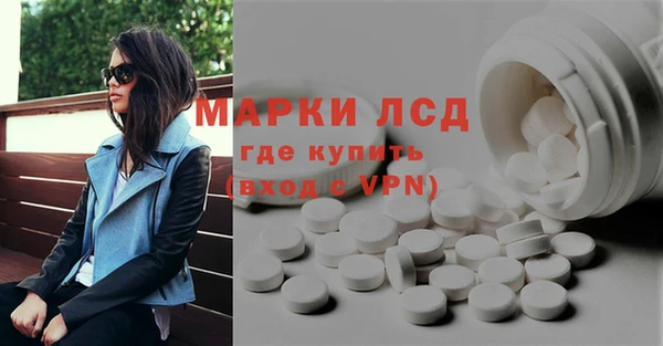 прущие грибы Зеленокумск