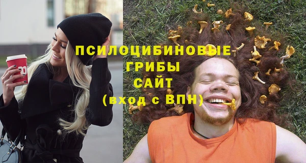 apvp Зерноград