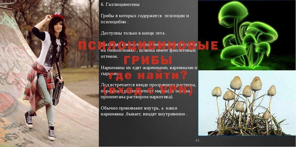 экстази Заводоуковск