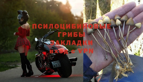 дурь Зеленодольск