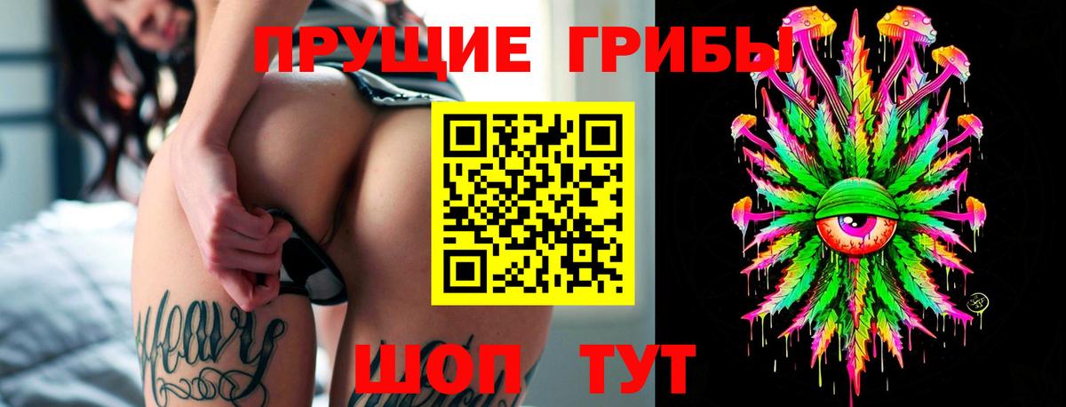 Псилоцибиновые грибы GOLDEN TEACHER Славянск-на-Кубани