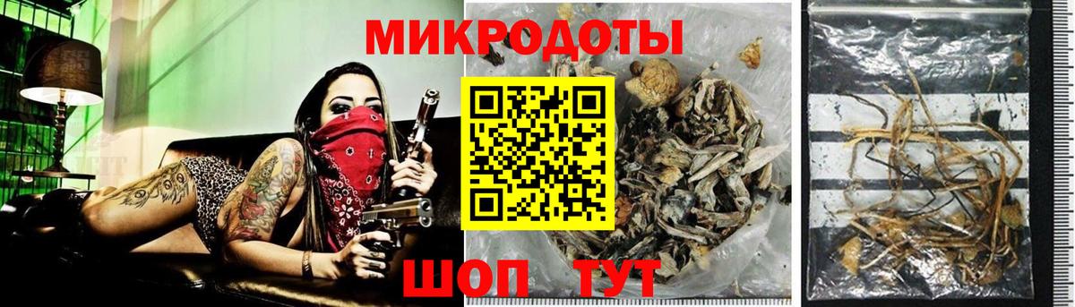 Псилоцибиновые грибы GOLDEN TEACHER Славянск-на-Кубани